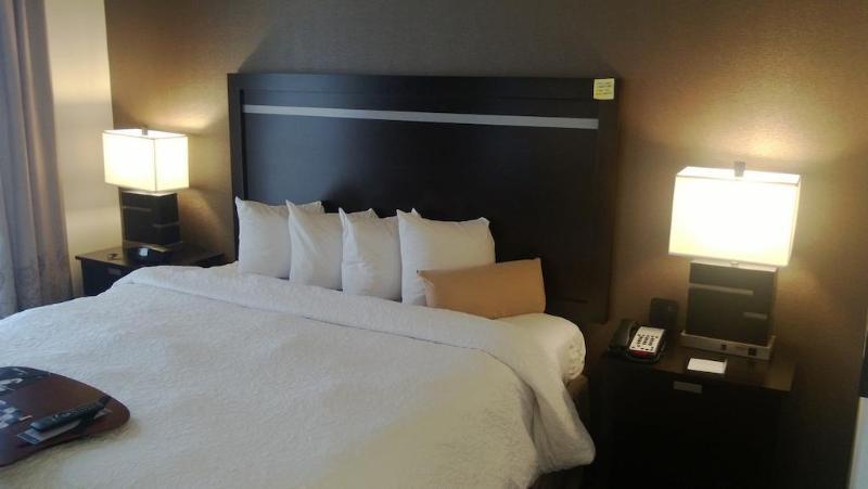 Hampton Inn&suites Houston/league Hotel